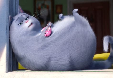 chloe pet|secret life of pets.